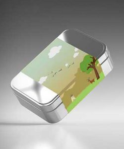 Rectangular tin box design